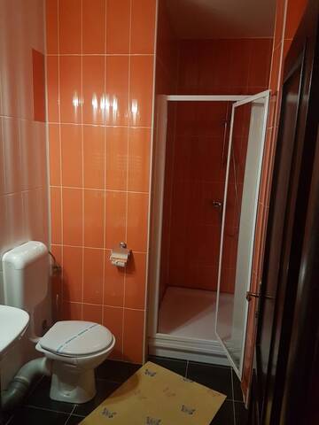 Фото номера Номер-студио Отели типа «постель и завтрак» Casa David г. Рэдэуци 3